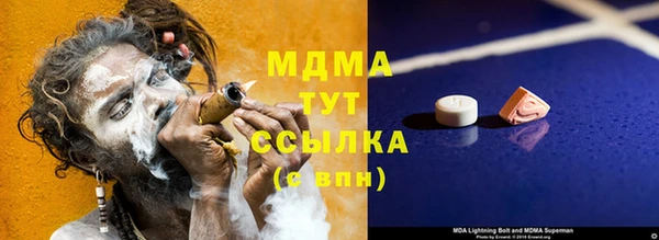 индика Краснотурьинск