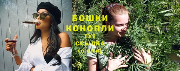 винт Коряжма