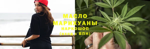 индика Краснотурьинск