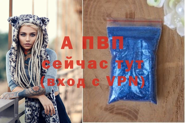 прущие грибы Красноперекопск