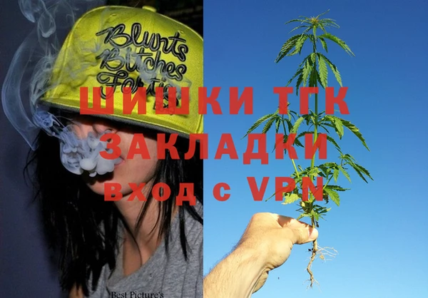 индика Краснотурьинск
