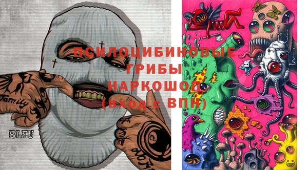 индика Краснотурьинск
