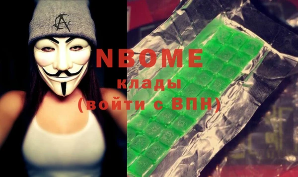 индика Краснотурьинск