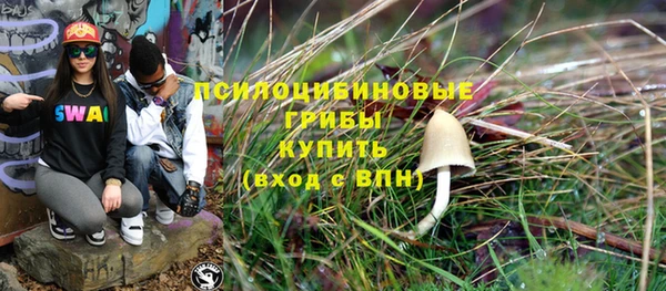 индика Краснотурьинск